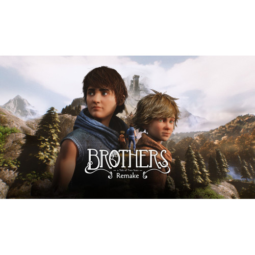 Brothers: A Tale of Two Sons