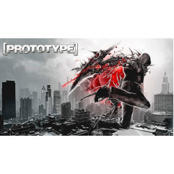 Prototype