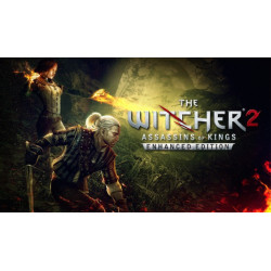 The Witcher 2: Assassins of Kings